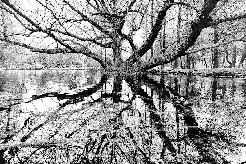 Parco Sempione, Milano di davide fantasia