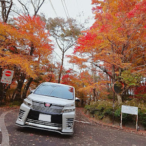 ヴォクシー ZRR80W