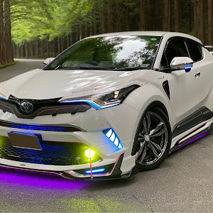 C-HR ZYX10