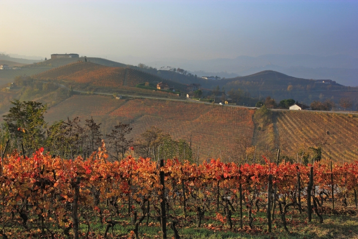 Novembre in vigna di VILLA MARIO