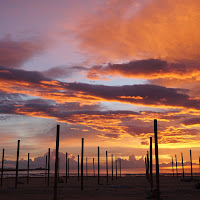 Alba senza respiro di 