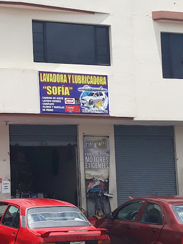 LAVADORA Y LUBRICADORA SOFIA