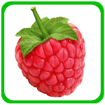 Kids Learning Fruits & Veggies Apk