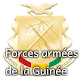 Download Military of Guinea For PC Windows and Mac 1.1