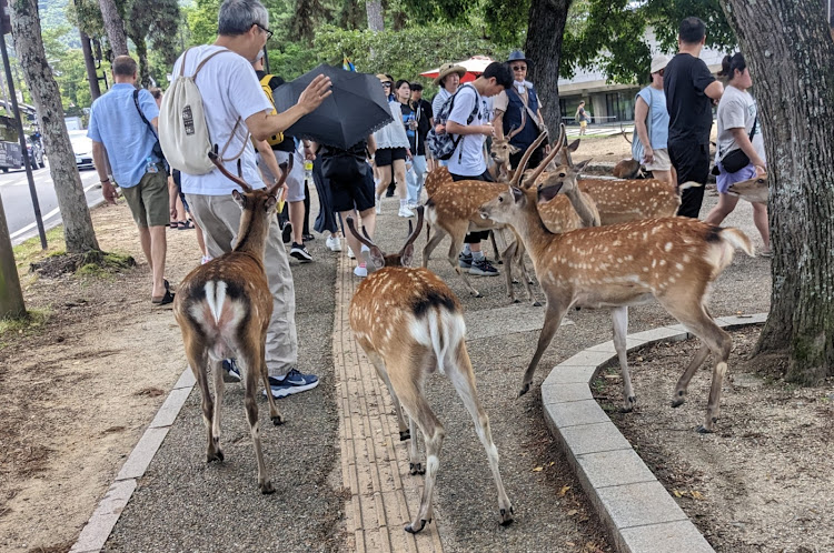 の投稿画像6枚目