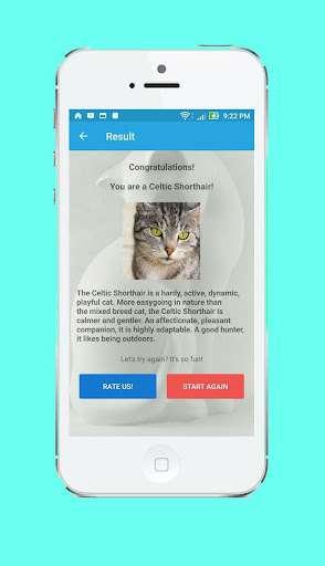 What Cat Are You? - Funny Test