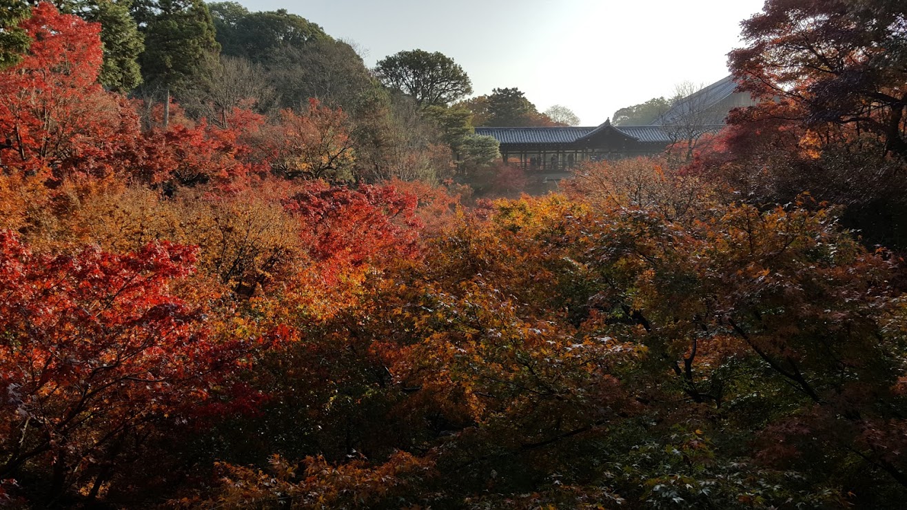 Kyoto’s Tofukuji Temple in autumn