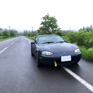 ロードスター NB6C