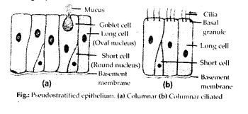 Solution Image