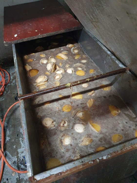 Freshly cooked and dried abalone worth over R972,000 was seized from the property.