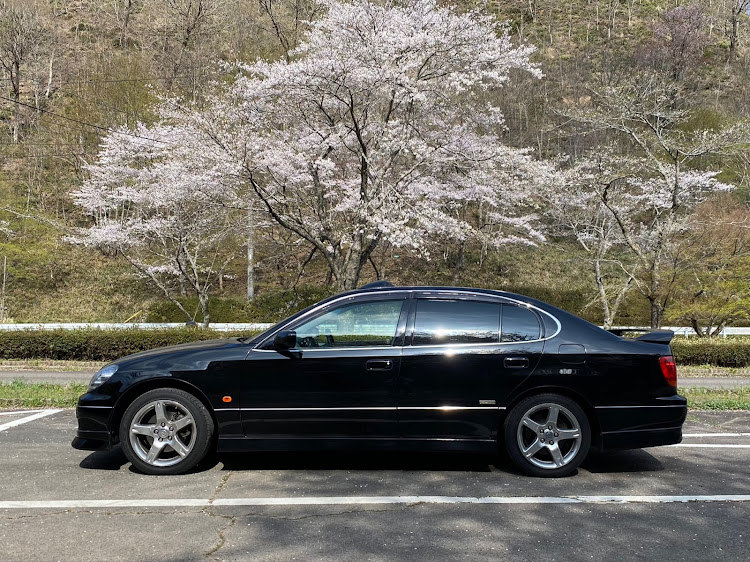 アリストのアリスト・ISF・桜とコラボ🌸・春の交通安全週間に関するカスタム事例の投稿画像3枚目
