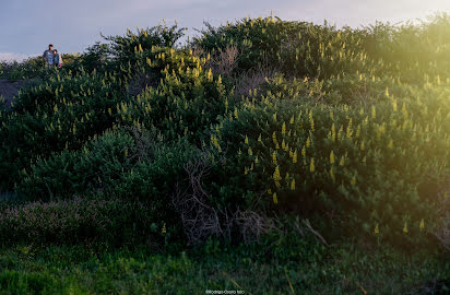 Bryllupsfotograf Rodrigo Osorio (rodrigoosorio). Bilde av 16 mai 2016