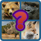 Download Animals Quiz For PC Windows and Mac 3.3.7z