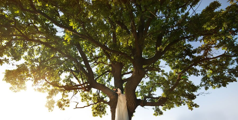 Bryllupsfotograf Lena Astafeva (tigrdi). Bilde av 16 juli 2014