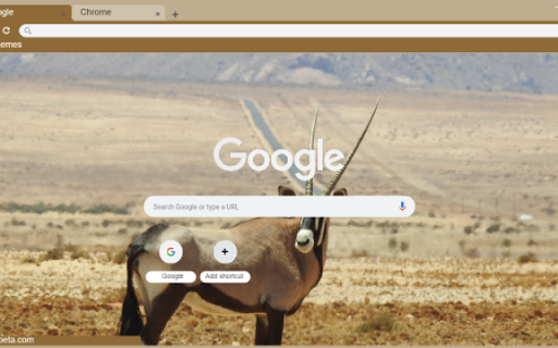 Antelope Preview 1