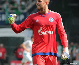 Bundesliga: Schalke 04 en Bayer Leverkusen volgen voorbeeld van Bayern