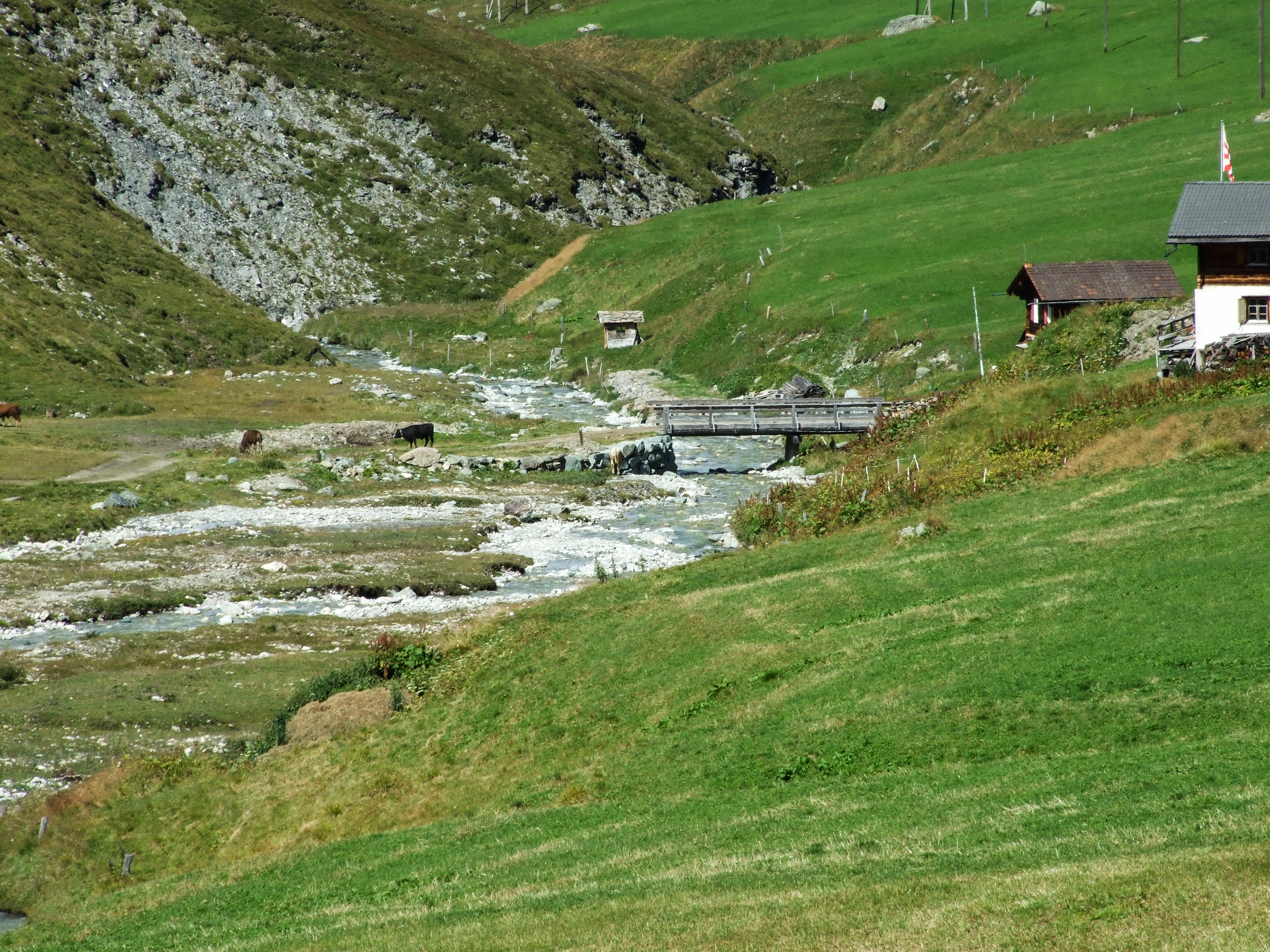 Dove il Reno è ancora piccino di Giò Volpi