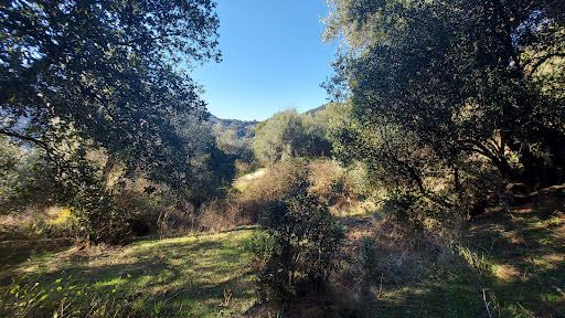 Vente terrain  2350 m² à Vico (20160), 158 000 €