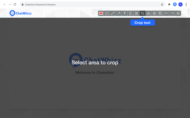 Chatwhizz Screenshot Extension Preview image 3