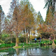 菁芳園 Tenway Garden／花園餐廳／落羽松