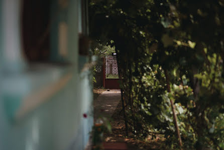 Fotografo di matrimoni Sergiu Nedelea (photolight). Foto del 24 agosto 2018