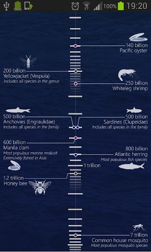 Animal Populations