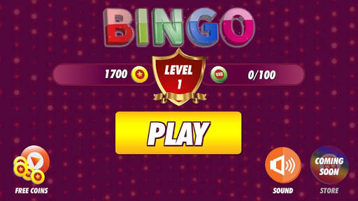 Bingo Classic Game - Offline Free screenshots 4