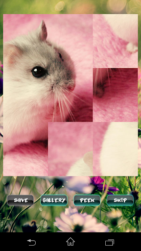 Hamster Puzzles