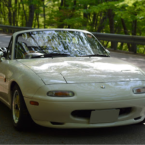 ロードスター NA8C