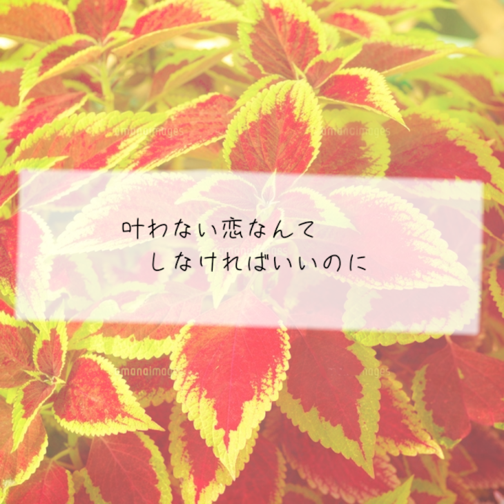 「叶わない恋なんてしなければいいのに。」のメインビジュアル