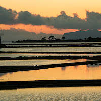 Saline di Trapani di 