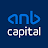 anb capital icon