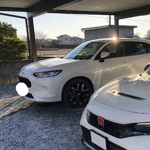 ZR-V RZ6