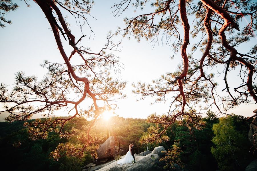 結婚式の写真家Mike Shpenyk (monrophotography)。2016 12月6日の写真