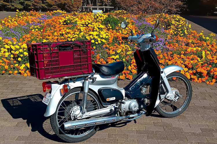 3シリーズ カブリオレの𝑹𝒊𝒏𝒏さんが投稿したカスタム事例の投稿画像2枚目