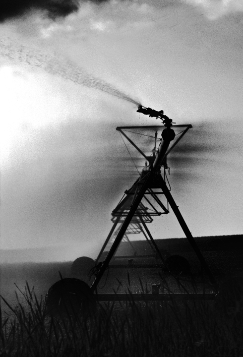 Acqua alla terra di Luca Gallozza