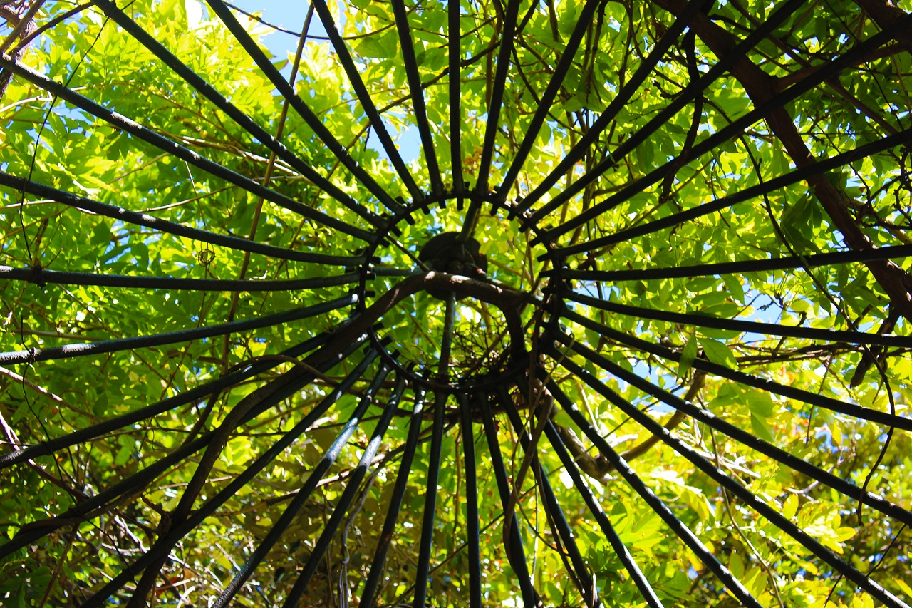 Corona d'oro verde di Giulia Cacciatore