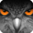 EagleEyes(Plus) mobile app icon