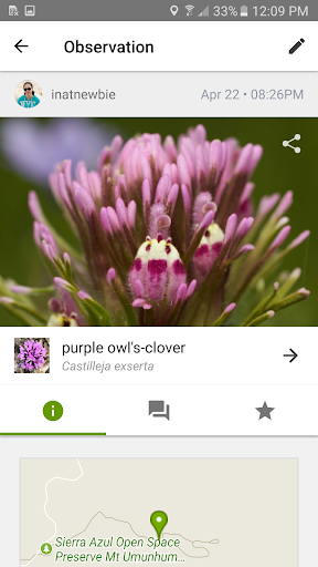 Screenshot iNaturalist