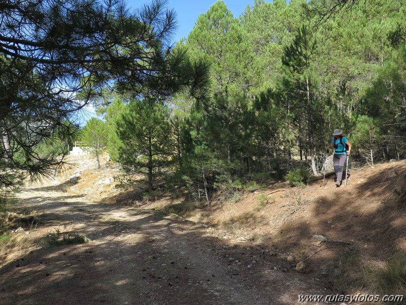 Pico Blanquillo (Sierras de Cazorla, Segura y Las Villas