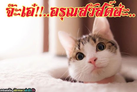 How to mod คอมเม้น น้องแมวน่ารักจัง lastet apk for pc