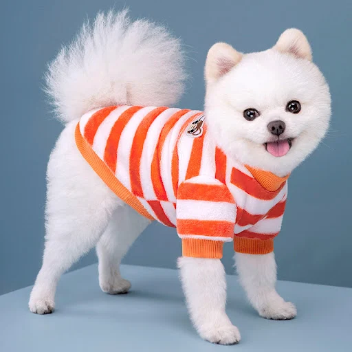 Rainbow Dog Clothes Warm Pet Vest Shirt Fleece Pet Dog Clothes for Dogs Clothing Pets Dogs Cat Tshirt Outfit Apparel Coa