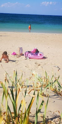 esplorando la spiaggia di Claudiator