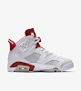 air jordan 6 retro alternate 91