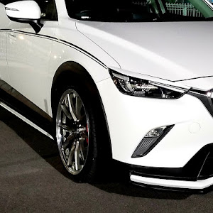 CX-3 DKEFW