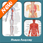 Human Anatomy - Apps on Google Play