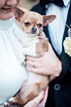 Fotografo di matrimoni Alyona Pottier-Kramarenko (alyonapf). Foto del 22 novembre 2019