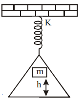 Motion of an object attached to a spring