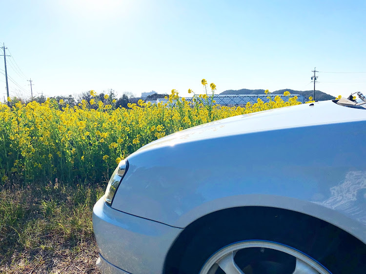 インプレッサ スポーツワゴンの愛車・愛車と絶景・花畑に関するカスタム事例の投稿画像2枚目