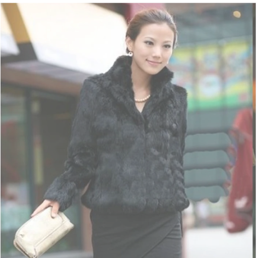Title 4, Long - sleeved stand - collar fur coat